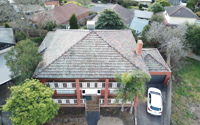 How risky can roof mould be for your home and family and how roof restoration can save your roof.jpeg